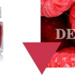 Mermelada gourmet de Almería frasco Lorusso artesanal